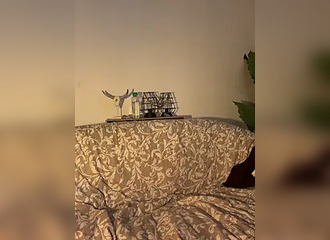 SHe's live on Nasty.live