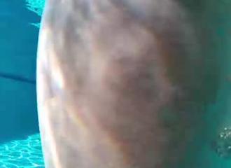 She's live on Maxi.cam